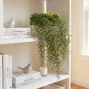 【HUGO DECO 榆果傢飾】高擬真紫弦月藤蔓植栽(擬真植物/禮物/綠化/永不凋零/佈置/蕨類)