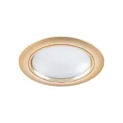 【大巨光】附歐司朗晶片 LED 21W 崁燈 崁孔15cm(LW-12-4981 全電壓 防潮PC框霧金色、鋁、 鰭片式散熱)
