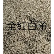 全紅白子 專用揚色飼料