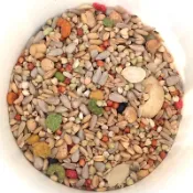 哈哈鳥飼料MIX混搭藍亞仕無殼🆚禾家飼料。CP值超高！