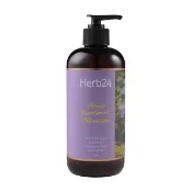 【草本24】Herb24 調理頭皮洗髮精 500ml－薰衣草(中乾性頭皮、舒緩頭皮搔癢、修護髮絲)