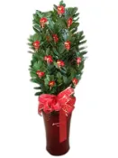 【陽信商店街】金錢樹瓷盆落地紅盆(特大)