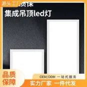300x600集成吊頂燈嵌入式led廚房衛生間扣板燈天花板30x60平板燈