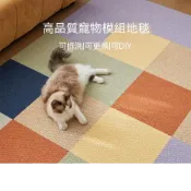 (店+)日式拼接地毯（6片裝）DIY自由組合方塊地墊 可自由裁剪 防滑耐髒耐抓可拆洗模塊地毯