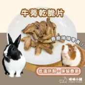 啃啃小鋪🥕兔鼠牛蒡乾脆片｜牛蒡乾/兔子果乾/天竺鼠果乾/兔子零食/天竺鼠零食/寵物零食/寵零食點心/倉鼠果乾/土撥鼠果乾