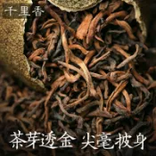 hannamichan??正宗新會小青柑普洱茶陳皮10年宮廷橘普茶葉熟茶250g500g散裝批發??好 茶