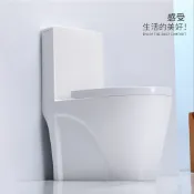 單體馬桶 馬桶 水龍卷 雙龍捲 二段式省水馬桶 大沖力馬桶 抗污馬桶 單孔排污 桃園現貨