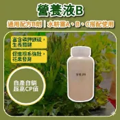 通用型水耕營養液-B劑 單售 水耕需同時使用(A+B+C)三罐 萵苣 草莓 各類蔬果 水果水培 無土栽培 液肥 養液