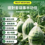 免運✨臺中出貨✨防蟲尼龍網袋草莓番茄葡萄水果套袋果樹瓜果防鳥網袋專用袋防蟲網
