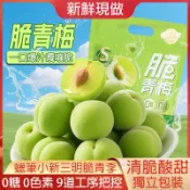 🔴饞小貝🔘隔日達◆脆口青梅 酸脆梅 涼果蜜餞 10g/個獨立包裝 醃製果脯 水果乾 酸甜爽口 蜜餞果脯 獨立包裝 小吃