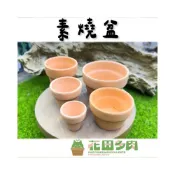 (店+)《花田多肉》🌵【素燒盆】多肉植物/療癒小物/盆栽/透氣盆/陶瓷