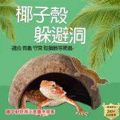(店+)龜室 爬蟲躲避屋 躲藏窩 守宮 椰子殼 陸龜烏龜爬蟲爬寵蜘蛛蜥蜴兩棲角蛙天然椰殼椰洞穴造景