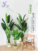 協貿國際日用品生活3館 北歐仿真旅人蕉植物落地綠植大型室內裝飾天堂鳥盆栽假花客廳擺件