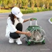 🐱熱銷免運 可開髮票🐱 貓包高顔值寵物拉桿箱 外出便攜貓咪行李箱透明雙肩狗狗推車太空艙 貓咪拉桿箱 寵物航空箱外出箱