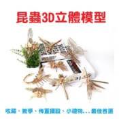 木製3D立體拼圖 昆蟲系列蝴蝶甲殼蟲蜻蜓 模型DIY材料包勞作手做 益智玩具小學生擺件 拼裝兒童手工
