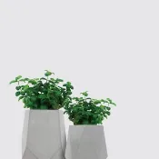 │ 水泥系列 │ 彈簧草 - 防水清水模 水耕盆栽 自動喝水