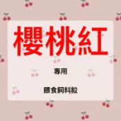 【蟑東西】餵食櫻桃紅/杜比呀/麵包/大麥飼料/水蒟蒻/麥片