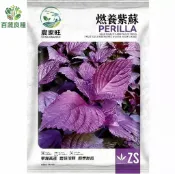原裝紫蘇種子 紅紫蘇 青紫蘇 日本料理必備 養生香草 薄荷科植物 陽台盆栽 新手易種 泡茶 去腥提香 驅蟲植物 台灣全年