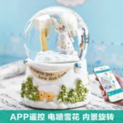 雪花水晶球音樂盒旋轉木馬八音盒藍牙音箱女友孩子兒童生日禮物【林之舍】