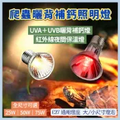 【爬蟲曬背燈 UVA UVB燈泡】烏龜曬背燈 加熱保溫燈 紅外線聚熱燈 E27燈泡 寵物爬蟲燈 PLAYLIFE台灣現貨