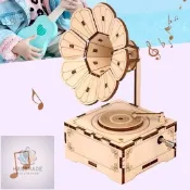 批發價✨木製DIY八音盒音樂盒3D立體拼圖 留聲機鋼琴摩天輪小屋磨坊豎琴 模型材料包勞作手做 益智小學生擺件