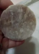 【妹妹的店】天然原色珊瑚玉髓 菊石  菊花石 珊瑚化石  已抛光的鐲心