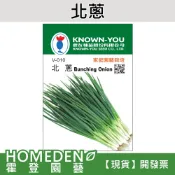 【隔日到貨】北蔥 V-010 蔬菜種子 農友牌 小包裝種子 約200粒/包【HOMEDEN霍登園藝】