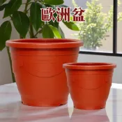 (店+)【欣榮園藝資材行】熱銷款 浮雕歐洲盆 5寸、6寸、1尺、尺1、尺3、尺5、尺6、尺8 塑膠花盆 盆器 花器 栽培盆 浮雕盆 歐洲盆