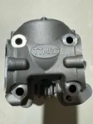 YAMAHA TTMRC汽缸頭