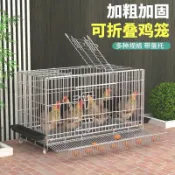 雞籠子家用蛋雞籠母雞籠雞窩雞舍大號養殖籠鴨鵝家禽鐵網養雞籠子