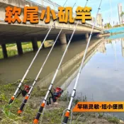 全球選品1館 生活百貨 軟尾小磯竿磯釣竿短輕釣魚竿海竿拋竿高靈敏橋筏岸拋套裝全套