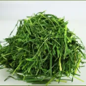 【牧草天堂randy-liu】一站式牧草選購合集甜小麥草燕麥草苜蓿提摩西一割二割百慕達滿足荷蘭豬天竺鼠豚鼠兔子龍貓牛羊馬