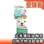 日本原裝 白熊衣物涼感噴霧 500ml 北見薄荷油 聯名款 大容量 衣服涼感 夏天涼爽 降溫【愛購者】