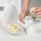 多功能可微波便攜煮蛋器(耐熱 微波料理 懶人料理 加熱 便當 早餐 微波爐 蒸蛋器 辦公室)