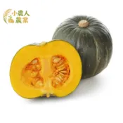 現貨隔日寄 栗子南瓜種子 板栗紮實口感 超綿密香甜 陽台盆栽也豐收 家庭菜園首選 南瓜種籽