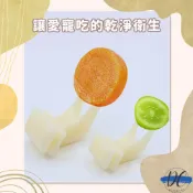 (店+)DC寵物現貨秒出🐾鳥用小寵水果叉 塑膠水果叉 小寵水果叉 果蔬叉 鳥用餵食器 固定蔬果 鳥類 鸚鵡 蜜袋鼯 B084