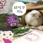 魏啥麻-日本WOOLY高原的義大利黑麥草幼割 分裝 (葉多) 2026年度草 (兔 天竺鼠 龍貓牧草)