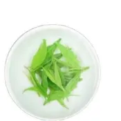 小葉苦丁茶嫩芽頭採四川峨嵋散裝野生新茶正宗青山綠水茶葉女性養生茶 補血調經茶 氣血調理茶 中藥養生