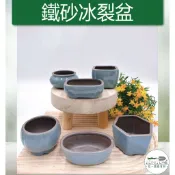【滿額免運】鐵砂冰裂盆 古典風 生活家飾 陶盆 蘭花盆 多肉花盆 仙人掌花盆 陶瓷花盆 小盆栽 盆器  綜一園藝