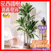 宅配免運😇超美招財巴西鐵樹😇仿真植物 假花綠植 盆栽擺件巴西鐵樹 假樹 假植物 客廳室內落地大型裝飾