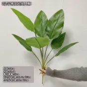 旅人蕉😇手感小芭蕉葉😇7片葉子 美人蕉 葉子 旅人蕉葉 仿真度高 造景設計 仿真假植物 假樹