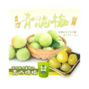 (店+)【粿女兒商行】🔥現貨 台灣青脆梅 180g