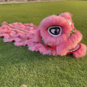 w&y舞獅 獅頭 舞龍 高檔羊毛舞獅舞獅子醒獅頭網紅獅子頭單人小獅子學校錶演獅子舞龍舞獅