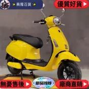 臺灣熱銷 ✨台灣曠達/電火/金大力/英士奇 電偉士 一比一電動車外殼 顏色可定做 單件 機車外殼部件