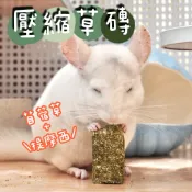 🏡龍貓安親班-板橋店🏡 ［台灣現貨］美國進口牧草磚 提摩西加苜蓿草 壓縮牧草磚 純牧草磚 龍貓 鼠 兔 寵物磨牙