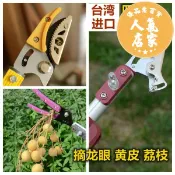 優品惠百貨 高枝剪/摘果器 摘果器高枝剪鋸日式伸縮3米4米5米高空剪采果龍眼剪荔枝柿子修枝