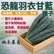 城禾農產🍃 恐龍羽衣甘藍種子 23克約7500粒 恐龍羽衣甘藍種子 羽衣甘藍種子 恐龍羽衣芥藍種子 羽衣芥藍種子 種子