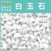 白玉石 1公斤 造景石頭 極白石 漢白玉 特白石 鵝卵石 白卵石【四季綠園】