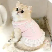 貓咪衣服 春夏季碎花背心 拼接洋裝子金漸層布偶貓咪幼貓公主風裙子 寵物衣服 寵物用品
