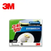Safetylite 3M 百利3001全效海綿菜瓜布 3片一包 專業級